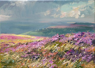 MARK PRESTON - sunshine and showers, beeley moor
